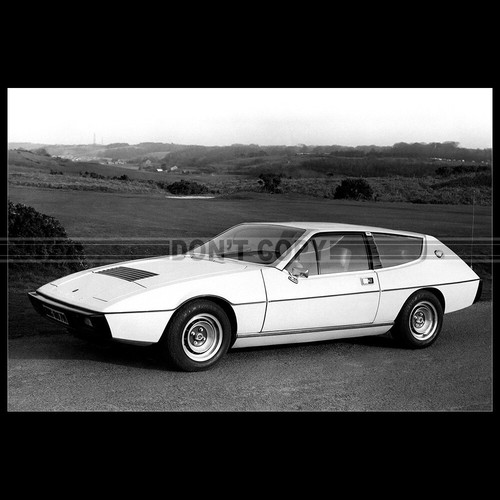 Photo 008137 lotus - a.008137, elite