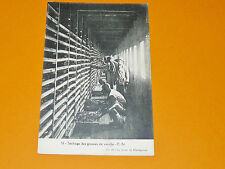 CPA 1928-1930 MADAGASCAR FRANCE COLONIES AFRICA VANILLA POD DRYING