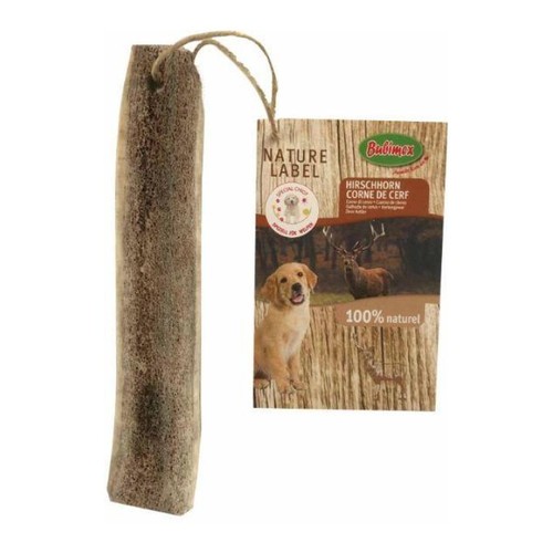 Bois cerf mâcher pour - bois, à