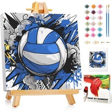 Volleyball Peinture Numero