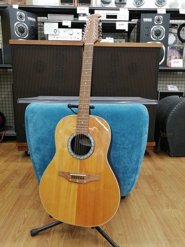 Guitare acoustique électrique