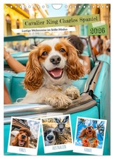 Cavalier King Charles Spaniel