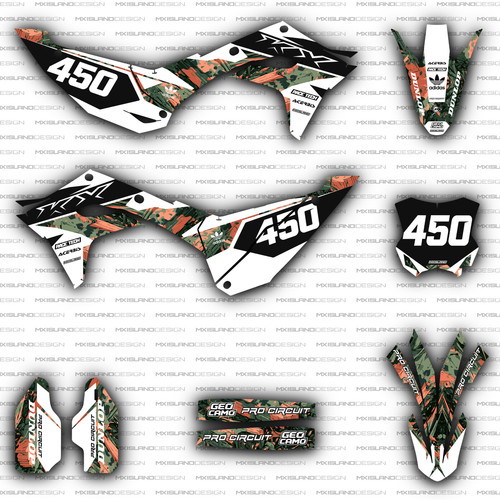 2024 2025 2026 - kawasaki, 450