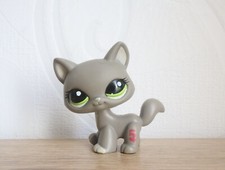 littlest petshop cat maine