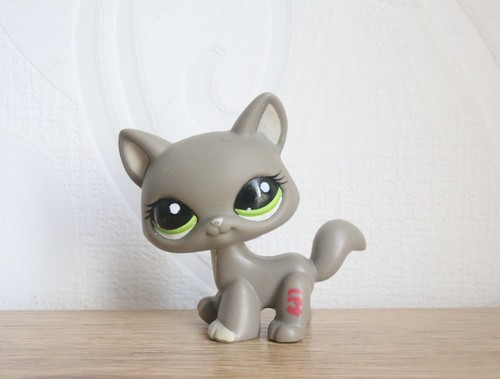 Littlest petshop cat maine - cat,
