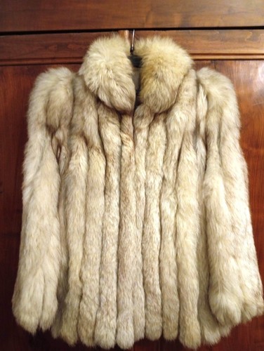 Veste renard bleu