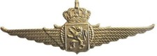 BELGIAN AIR FORCE - metal badge