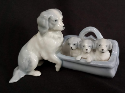Cavalier king charles - cavalier,
