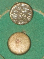 Bouton GARDE ROYALE Officier