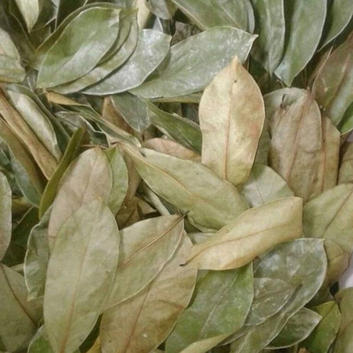 Daun sirsak kering 100 de - kering,
