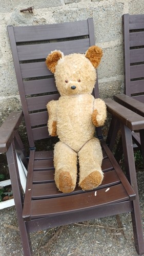 Ours peluche nounours - peluche,