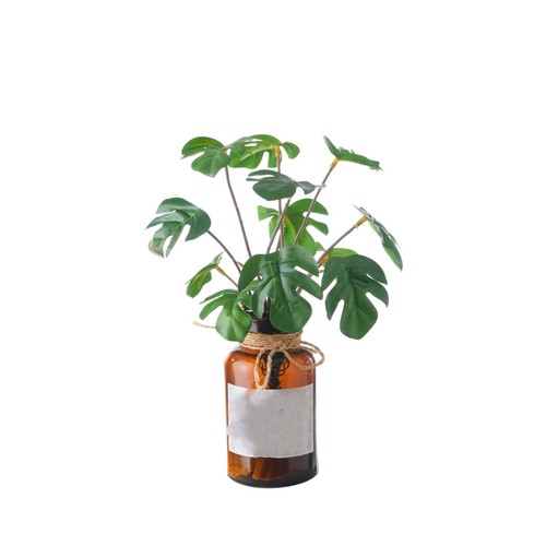 Pour mini plante fleurs - pour,