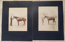 Lot 2 Military Photo and Marshal Ferrant and Their Horses 1890 Equestrian Jamin