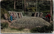 AGRICULTURE - VIE AUX CHAMPS -