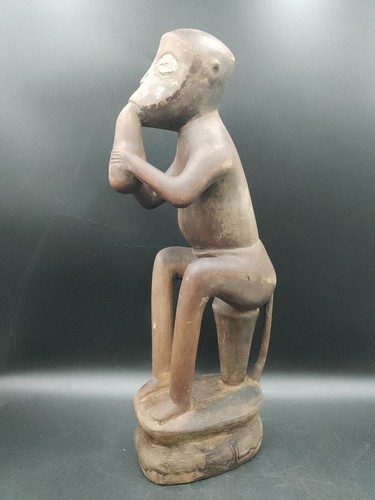 Singe mandiant gbekre assis - gbekre,