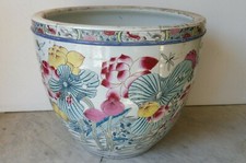 bassin à poisson,aquarium