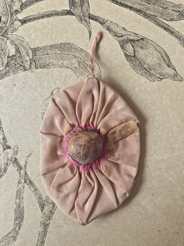 Ancienne relique noisette - ancienne,