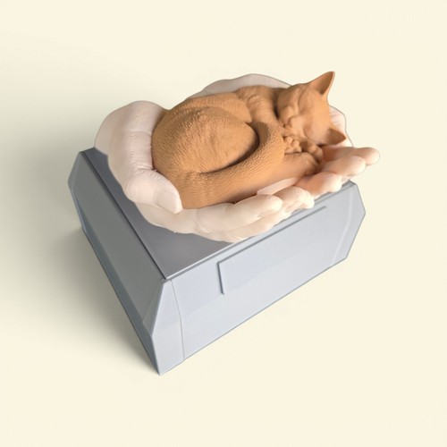 Urne chat - urne,