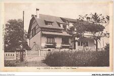 ANKP3-0198-03 - NERIS-LES-BAINS - les thuyas