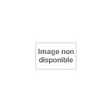 Thiebes la perruche - thiebes,
