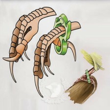 Bague correctrice Pattes