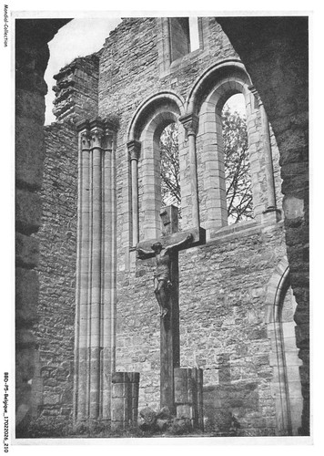 Bbdp5 0558 belgique - bbdp5-0558-belgique,