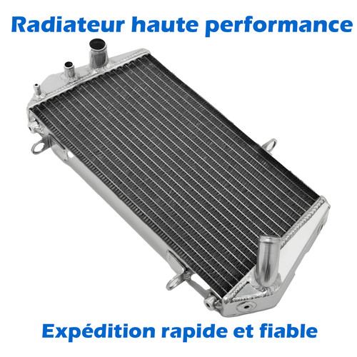 Aluminum radiateur aprilia - pr,