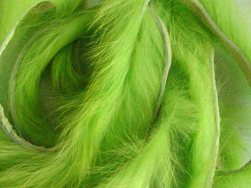 Bande lapin chartreuse - bande,