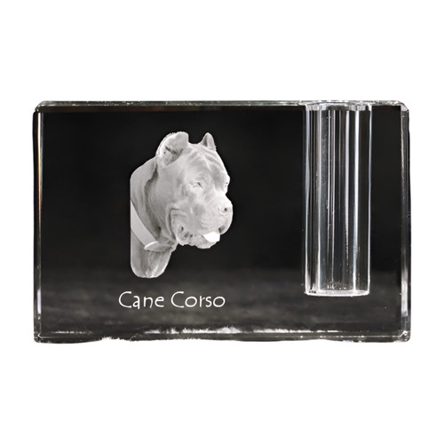 Cane corso italienischer chien - corso,