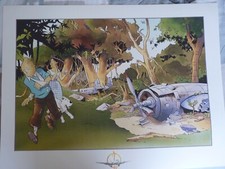 Affiche Tintin et la Castafiore à côté d'épaves d'avions par Pascal Somon.