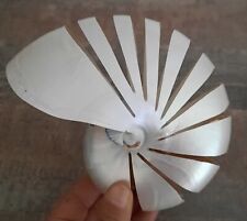 curiosité , Oddities