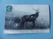 CPA  CHASSE à Courre en