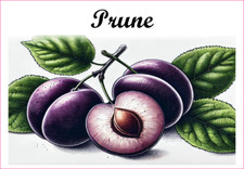 Prune 12 sticker vinyle