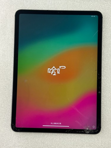 Ipad pro pouces - ipad,