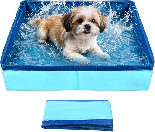 Piscine chien petite - chien,