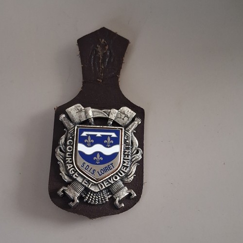 Insigne sapeurs pompiers sdis - insigne,
