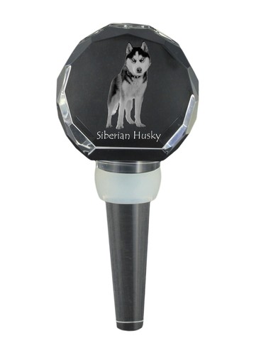Siberian husky bouchon - -,