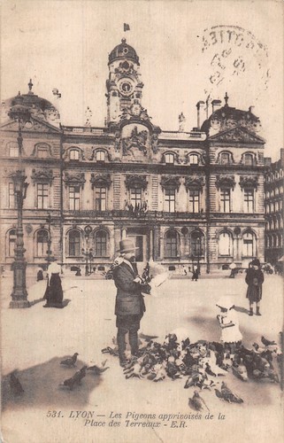 Lyon les pigeons - 69,