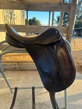 County COMPETITOR Dressage