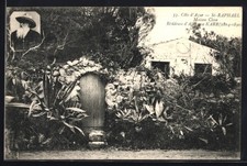 CPA Saint-Raphael /Cote