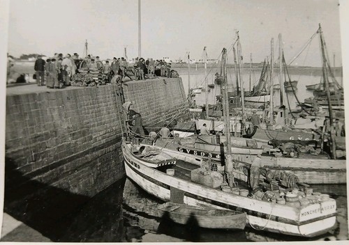 D56 quiberon dockers sur - sur, le