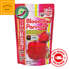 Hikari MINI sang rouge