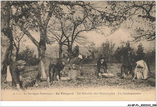 Bfp1 0199 perigord - au-bfp1-0199-24,