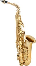 Saxophone Alto Brass Saxo Instrument a Vent Coffre Baton Gants de Nettoyage Set