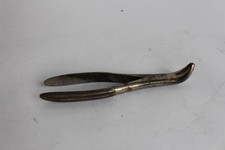 Davier Dental WALTER Dental Pliers Medicine (36098)