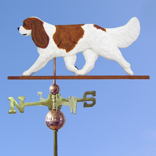 Cavalier king charles spaniel - cavalier,