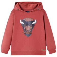 Sweatshirt à Capuche pour