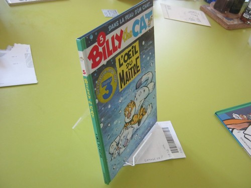 Billy the cat - billy,