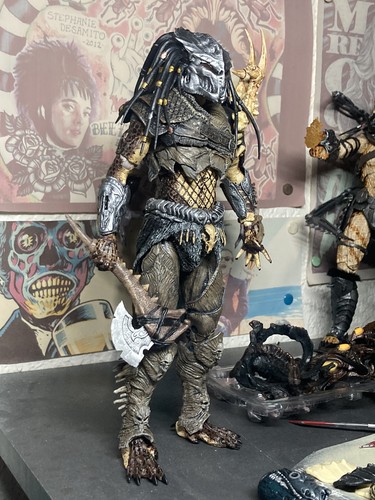 Forest hunter predator - forest,