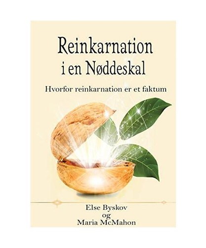 Reinkarnation nøddeskal - i, en